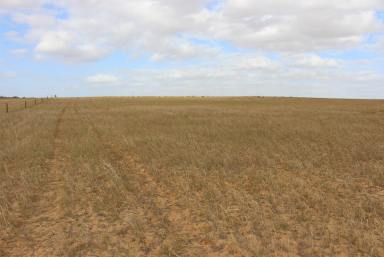 Farm Sold - SA - Sandalwood - 5309 - HARD TO FIND ADD-ON VALUE GRAZING/CROP OR GREAT WEEKENDER  (Image 2)