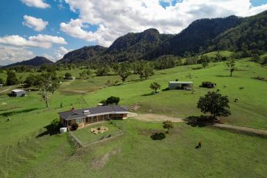 Farm Sold - NSW - Gloucester - 2422 - HIGH ON A HILL  (Image 2)