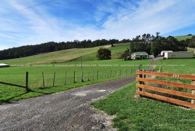 Farm Sold - TAS - Gawler - 7315 - SOLD - 203 Isandula Road - Just minutes from the Coast  (Image 2)