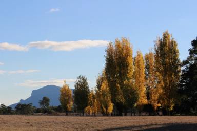 Farm Sold - VIC - Bornes Hill - 3379 - Tree Changers and Lifestyle buyers look no further  (Image 2)