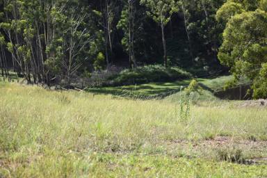 Farm Sold - NSW - Little Hartley - 2790 - Opportunity to purchase acreage in the Hartley Region - Premium Subdivision  (Image 2)