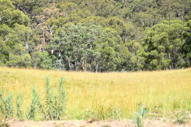 Farm Sold - NSW - Little Hartley - 2790 - Nature & Views!  (Image 2)