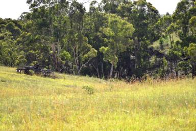 Farm Sold - NSW - Little Hartley - 2790 - Nature & Views!  (Image 2)