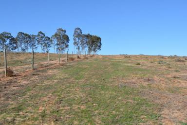 Farm Sold - NSW - Monak - 2738 - Quality Land Ideally Suited To Table Grapes or Citrus  (Image 2)