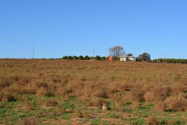 Farm Sold - NSW - Monak - 2738 - Quality Land Ideally Suited To Table Grapes or Citrus  (Image 2)