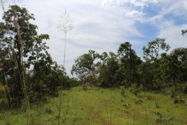 Farm Sold - NT - Berry Springs - 0838 - Build Your Rural Dream Home Now!  (Image 2)