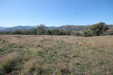 Farm Sold - NSW - Cassilis - 2329 - 40 Beautiful Acres!  (Image 2)