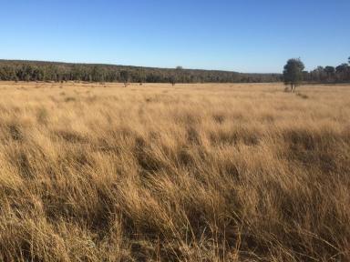 Farm Sold - NSW - Turill - 2850 - Big Sky Country!  (Image 2)