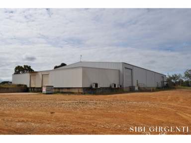 Farm For Sale - QLD - Mareeba - 4880 - What a Shed  (Image 2)