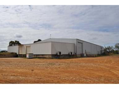 Farm For Sale - QLD - Mareeba - 4880 - What a Shed  (Image 2)