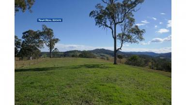 Farm Sold - NSW - Kyogle - 2474 - "WYNEDEN VALLEY"  (Image 2)