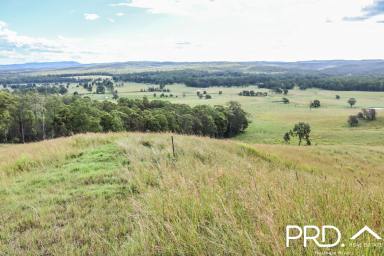 Farm Sold - NSW - Leeville - 2470 - 700+ Acre Cattle Property  (Image 2)