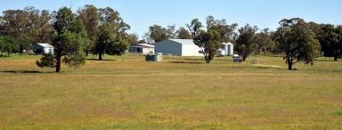 Farm Sold - NSW - Gilgandra - 2827 - Mixed Farming Enterprise- Cropping, Breeding & Fattening- $988 per acre  (Image 2)