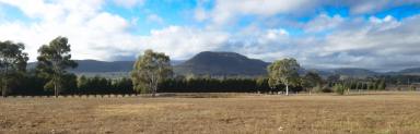 Farm Sold - NSW - Hartley - 2790 - Exclusive and Secluded!  (Image 2)