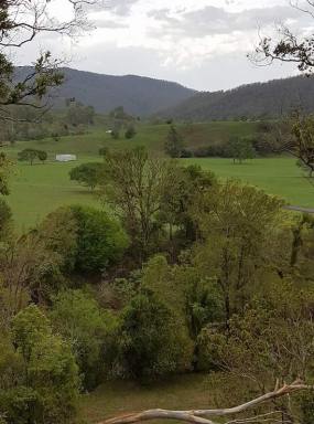 Farm Sold - NSW - Kyogle - 2474 - THIS PROPERTY IS "UNDER OFFER"  (Image 2)