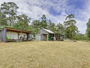 Farm Sold - TAS - Sloping Main - 7186 - Tranquility and unlimited freedom to enjoy yourself!  (Image 2)