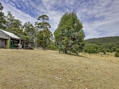 Farm Sold - TAS - Sloping Main - 7186 - Tranquility and unlimited freedom to enjoy yourself!  (Image 2)