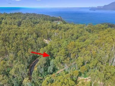 Farm Sold - TAS - Eaglehawk Neck - 7179 - Escape To A Lush Rainforest Of Your Own.  (Image 2)