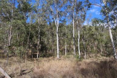 Farm Sold - QLD - New Moonta - 4671 - 32 ACRE LIFESTYLE BLOCK IN THE GOYAN VALLEY  (Image 2)