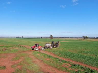Farm Sold - NSW - West Wyalong - 2671 - 'Glenmore' Burcher NSW 855.6 ha (2,114 acres)  (Image 2)