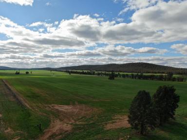 Farm Sold - NSW - Ardlethan - 2665 - Lifestyle block in great location with income potential.  (Image 2)