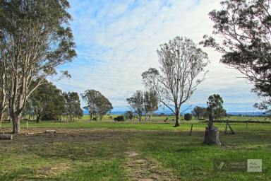 Farm Sold - VIC - Lindenow South - 3875 - Farmlet with Dual Zoning and Mountain Views  (Image 2)