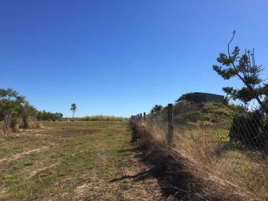 Farm Sold - QLD - Lethebrook - 4800 - MORE RURAL NEED P: 07 4242 5901. Blocks, farms or houses. Buyers waiting.  (Image 2)