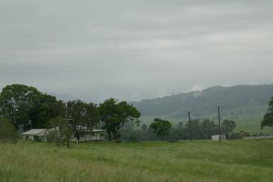 Farm Sold - NSW - Kyogle - 2474 - LOCATION IS THE KEY  (Image 2)