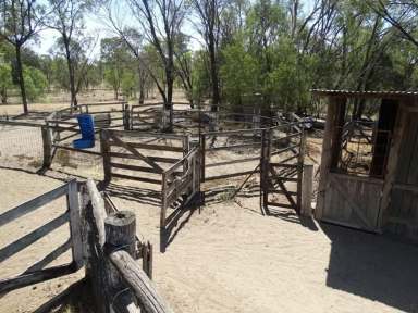 Farm Sold - QLD - Wandoan - 4419 - UNDER CONTRACT  (Image 2)