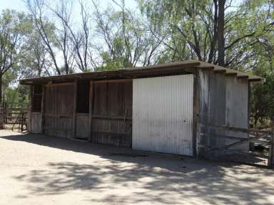 Farm Sold - QLD - Wandoan - 4419 - UNDER CONTRACT  (Image 2)