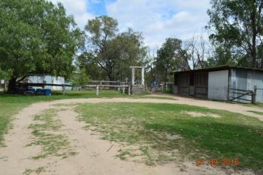 Farm For Sale - QLD - Wandoan - 4419 - DRASTICALLY REDUCED  (Image 2)