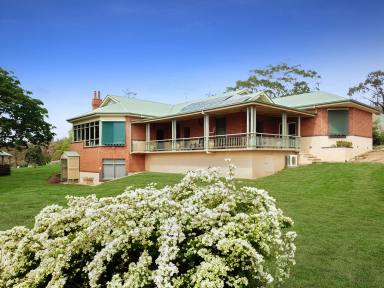 Farm Sold - NSW - Tarcutta - 2652 - "Timba Ridge" Private Oasis set on 564 Acres of Natural Beauty with Magnificent Views.  (Image 2)
