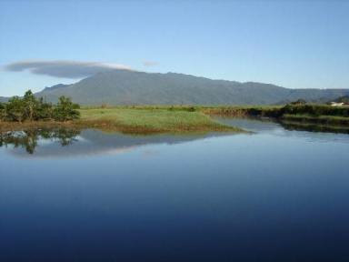 Farm For Sale - QLD - Babinda - 4861 - 200 acres (Many Kilometres of River Frontage) - MAGNIFICENT VIEWS  (Image 2)