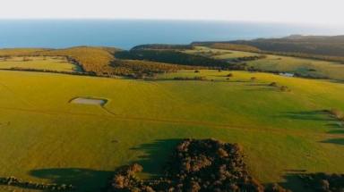 Farm Sold - SA - Emu Bay - 5223 - 430 ACRES ON 2 TITLES - BEACHFRONT PROPERTY - ZONED FOR TOURISM!  (Image 2)