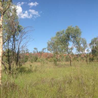 Farm For Sale - WA - Kununurra - 6743 - Vacant Acreage - build your Dream Home!  (Image 2)