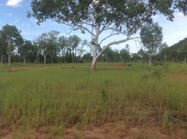 Farm For Sale - WA - Kununurra - 6743 - Vacant Acreage - build your Dream Home!  (Image 2)