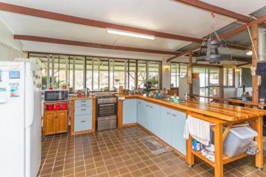 Farm For Sale - QLD - Habana - 4740 - THE ULTIMATE LIFESTYLE PROPERTY WITH BOARDING KENNEL BUSINESS  (Image 2)