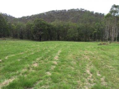 Farm Sold - NSW - Carnham - 2460 - 164 ACRES OF PICTURESQUE BEAUTY!  CURRENTLY WITH DWELLING PERMIT  (Image 2)