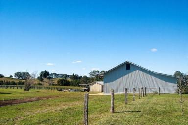 Farm Sold - NSW - Dunoon - 2480 - "Dunoon Farm" - 41 Gentle NE facing red basalt soil acres  (Image 2)
