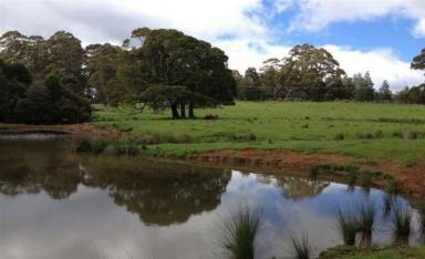 Farm Sold - TAS - Erriba - 7310 - Lifestyle, Grazing, Investment/Development, 128ha, 4 titles and huge potential  (Image 2)