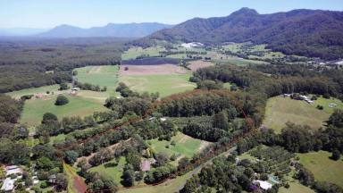 Farm Sold - NSW - Bonville - 2450 - 25 Acres of Sustainable Organic Paradise with 3 Homes!  (Image 2)