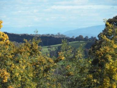 Farm Sold - VIC - Beechworth - 3747 - PICTURESQUE 40 ACRES WITH PERMIT FOR RESIDENCE.  RICH ORGANIC SOIL / FARMLAND 5 MINUTES FROM BEECHWORTH  (Image 2)