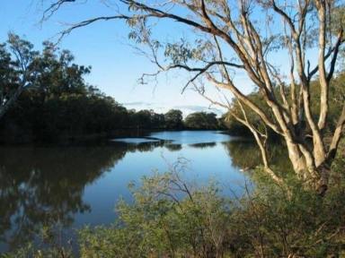Farm Sold - VIC - Torrumbarry - 3562 - LIFESTYLE PROPERTY 22 ACRES WITH ABSOLUTE MURRY RIVER FRONTAGE – FREEHOLD RESIDENCE & ACCOMMODATION BUSINESS  (Image 2)