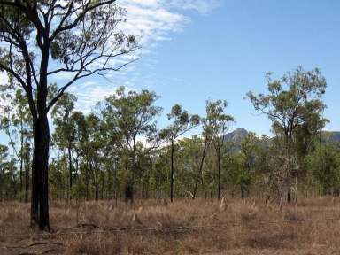 Farm Sold - QLD - Alice River - 4817 - Townsville City 30km, 42 acres Land with 2 Dwellings, Possible future Development  (Image 2)