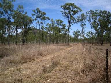 Farm Sold - QLD - Alice River - 4817 - Townsville City 30km, 42 acres Land with 2 Dwellings, Possible future Development  (Image 2)