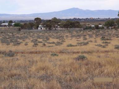 Farm For Sale - SA - Port Augusta West - 5700 - Large 17.31ha / 42.8ac Vacant Residential Land, with great development potential  (Image 2)