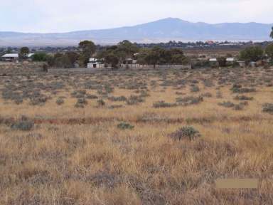 Farm For Sale - SA - Port Augusta West - 5700 - Large 17.31ha / 42.8ac Vacant Residential Land, with great development potential  (Image 2)