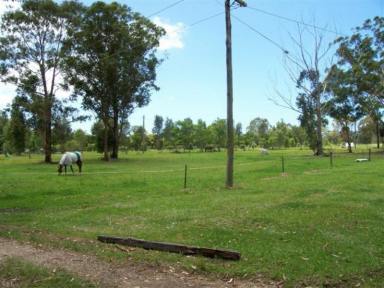 Farm For Sale - NSW - Johns River - 2443 - Rural Resid.15.323 ACRES 30 mins Port MacQuarie & Taree - Income Potential 2km off Pacific Hwy  (Image 2)