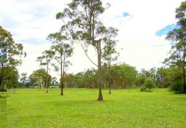 Farm For Sale - NSW - Johns River - 2443 - Rural Resid.15.323 ACRES 30 mins Port MacQuarie & Taree - Income Potential 2km off Pacific Hwy  (Image 2)