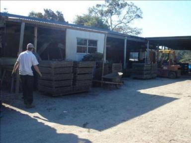 Farm Sold - NSW - Port Macquarie - 2444 - East Coast Oysters  (Image 2)
